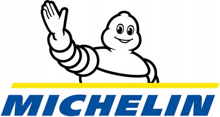 Michelin Pilot Sport Cup 2 Racing 335/30R20 108Y XL MO2 - zdjęcie 3