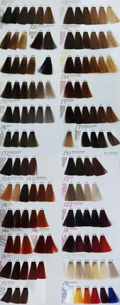 Alter Ego Techno Fruit Color 4/72 100 ml - zdjęcie 2