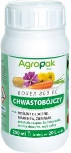 Boxer 800 Ec Zwalcza Chwasty Na Trawniku 250 Ml Ceny I Opinie Ceneo Pl