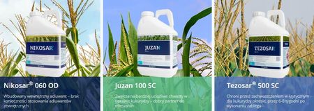 Tezosar Extra Box 3 X 5L Na 7Ha Ciech - zdjęcie 3