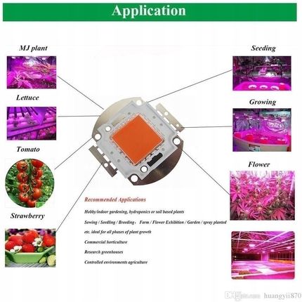 NOWOŚĆ HALOGEN GROW 100W led DO UPRAWY ROŚLIN W-WA - zdjęcie 2