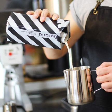 Napój mleko roślinne z grochu dla baristów 6L (cbad7d7b) - zdjęcie 2