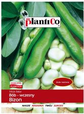 Zdjęcie Bób Bizon Nasiona 50 G - Plantico - Wąsosz