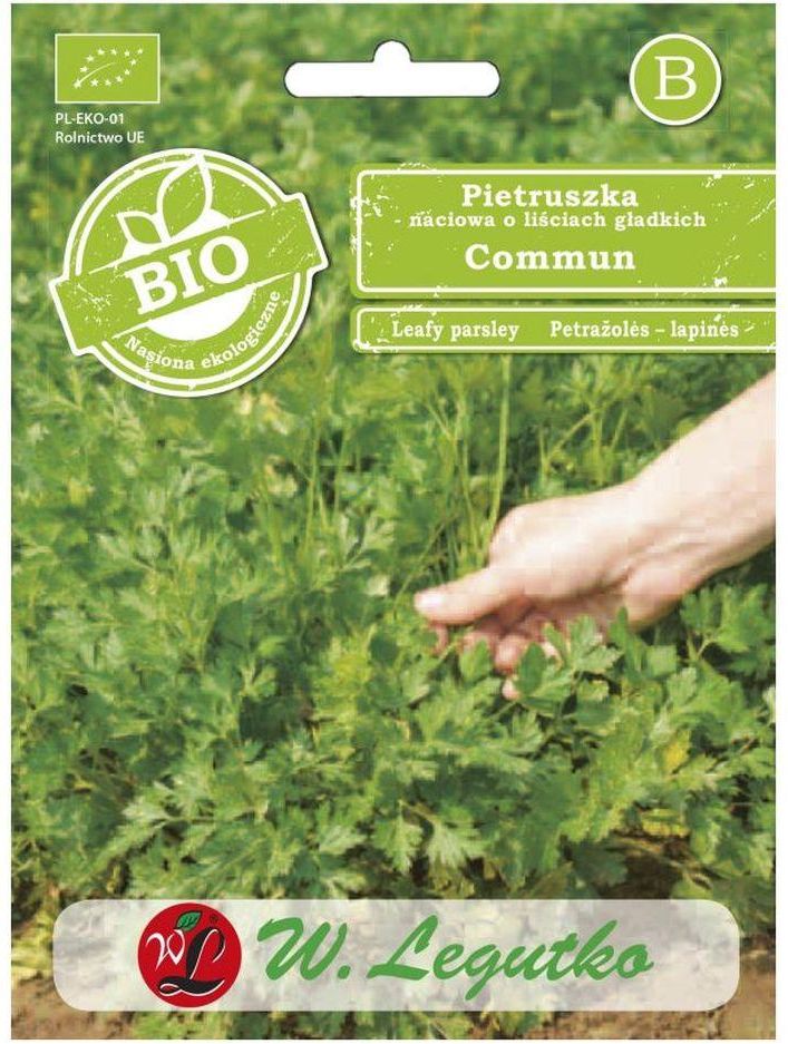 Zdjęcie Bio Pietruszka Naciowa - Commun 2 Nasiona 5 G Legutko - Wąsosz