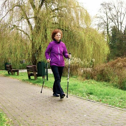 Best Sporting Kije Nordic Walking 2 Sekwencje Szary - zdjęcie 2