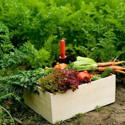Nawóz Obornik Granulowany Bydlęco Kurzy 25Kg 40L - zdjęcie 4