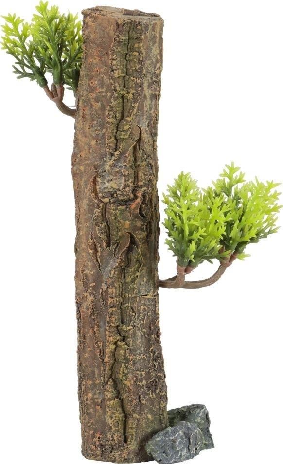Zdjęcie Zolux Dekoracja Akwarystyczna Forest Xs - Poznań