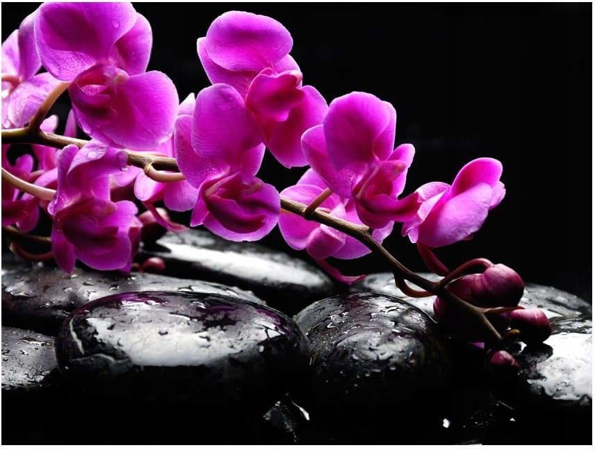 DECONEST FOTOTAPETA ORCHIDEA I KAMIENIE ZEN 200X154 Opinie I Ceny