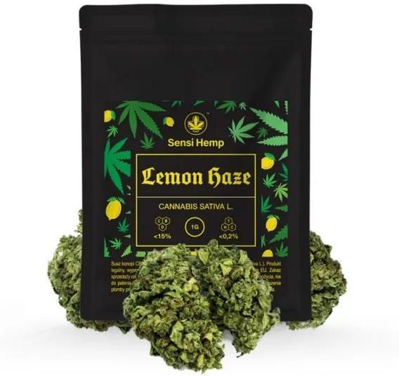 Sensi Hemp Lemon Haze Susz Cbd Susz Konopny G Opinie I Ceny