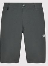 The North Face Szorty sportowe Tanken NF0A2S85 Szary Regular Fit