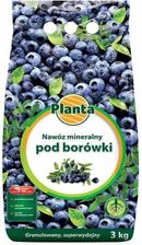 Zdjęcie Nawóz Planta 3Kg Pod Borówki Folia 8 - Stęszew