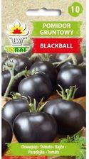 Zdjęcie Toraf Nasiona Pomidor Gruntowy Blackball 0,3G - Przeworsk