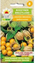 Zdjęcie Toraf Nasiona Rodzynek Brazylijski 0,2 G - Przeworsk