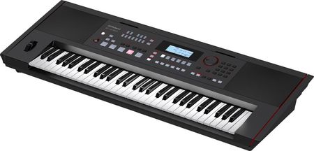Roland E-X50 - zdjęcie 6