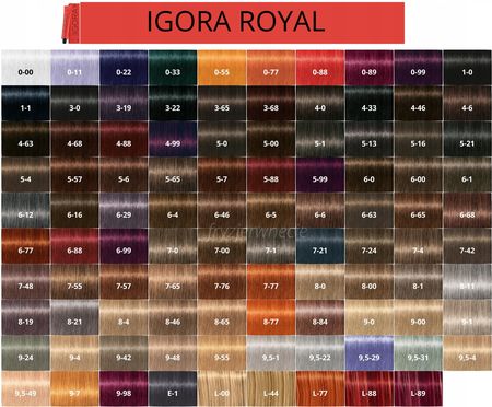 Schwarzkopf Igora Royal Highlifts Farba 10-19 60Ml - zdjęcie 3