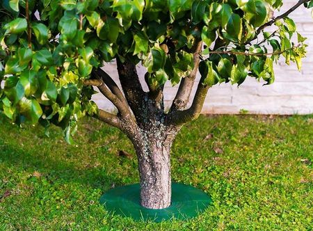 Planta Ochraniacz Drzew Krzewów Chroni Pień Osłona - zdjęcie 4