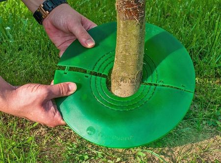 Planta Ochraniacz Drzew Krzewów Chroni Pień Osłona - zdjęcie 6