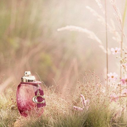 Coach Wild Rose Woda Perfumowana 30 Ml - zdjęcie 3