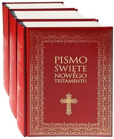 Pismo Święte Starego i Nowego Testamentu t 1 3 Duża czcionka