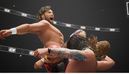 AEW Fight Forever (Gra NS) - zdjęcie 3