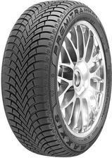 Maxxis Premitra Snow Wp6 255/40R19 100W Xl