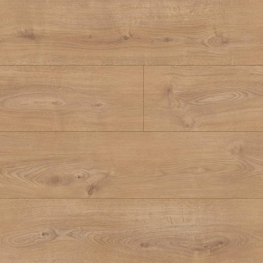 Panele Laminowane Parquet Mercado Dąb Sherwood 8 AC5 GT5985 Opinie i