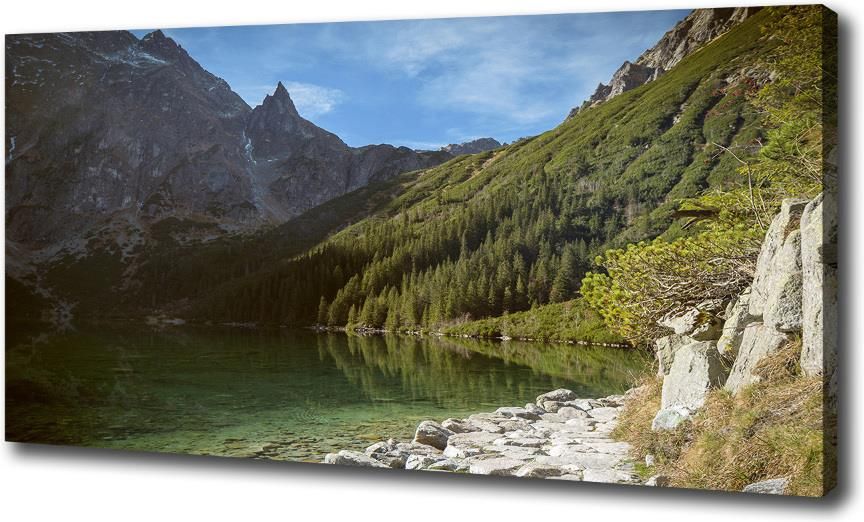 Wallmuralia Pl Foto Obraz Na P Tnie Morskie Oko Tatry Opinie I