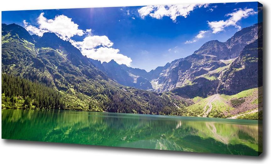 Wallmuralia Pl Foto Obraz Na P Tnie Morskie Oko Tatry Opinie I