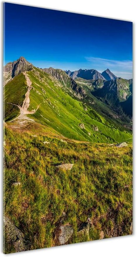 Wallmuralia Pl Fotoobraz Szklany Na Cian Do Salonu Pionowy Tatry