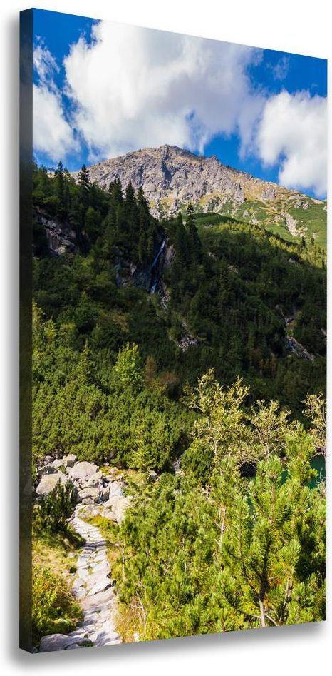 Wallmuralia Pl Foto Obraz Na P Tnie Pionowy Morskie Oko Tatry Opinie