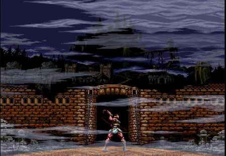 Castlevania Anniversary Collection Ultimate Edition (Gra PS4) - zdjęcie 2
