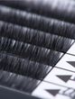 Ardell Magnetic Naked Lash rzęsy magnetyczne typ 420