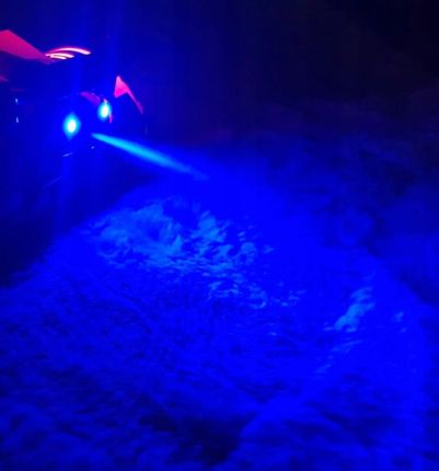 Ciuciubabka Samochód Tir Zdalnie Sterowany Auto Dym Świeci Rc - zdjęcie 4
