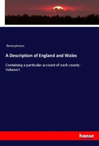 A Description Of England And Wales Literatura Obcoj Zyczna Ceny I