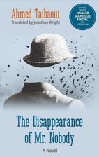 Disappearance of Mr. Nobody