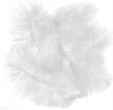 Zdjęcie Pióra Indycze Dekoracyjne 15 CM 5 Szt. Białe - Myślibórz