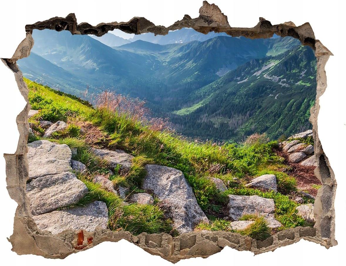 Coloray Fototapeta Dziura Na Ścianę Wschód Słońca Tatry Opinie i