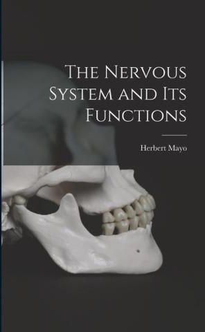 The Nervous System And Its Functions Literatura Obcoj Zyczna Ceny I