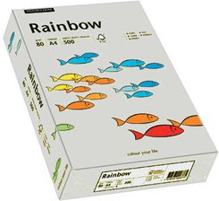 Rainbow Papier Ksero Kolorowy Szary 96 ( 88042805 )