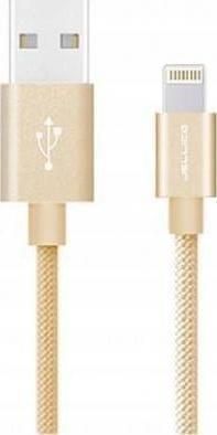 Jellico patchcord USB A microUSB 1 m Złoty 6971805920630 Opinie i