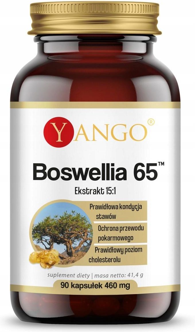 Preparat Medycyny Naturalnej Yango Boswellia Ekstrakt Kaps