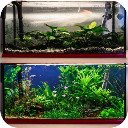 Evolution Aqua Waste Remover Usuwa Szlam - zdjęcie 6