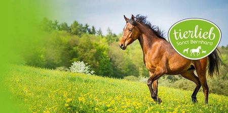 Biotyna Organiczna Dla Koni Tierlieb - zdjęcie 3