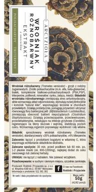 Arcyzioła Wrośniak Różnobarwny 50g - zdjęcie 2