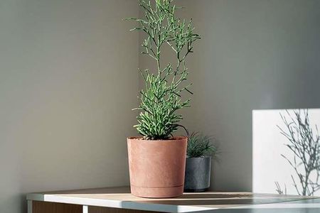 Prosperplast Doniczka Tubo 180 Ter Beton Effect+Podstawka 3 2L - zdjęcie 4