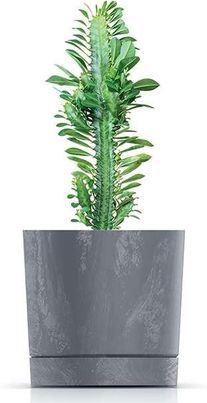 Prosperplast Doniczka Tubo 180 Ter Beton Effect+Podstawka 3 2L - zdjęcie 5