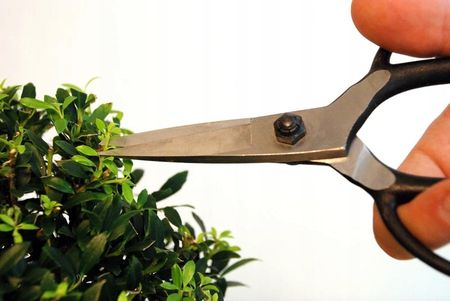 Nożyczki Do Bonsai: Średnie Ostrze 203 Okatsune - zdjęcie 4