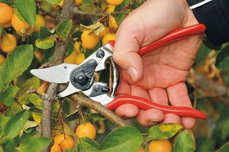 Sekator Jednoręczny Felco 6 Osełka Felco 905 - zdjęcie 2