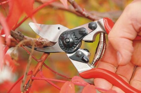 Sekator Jednoręczny Felco 6 Osełka Felco 905 - zdjęcie 4