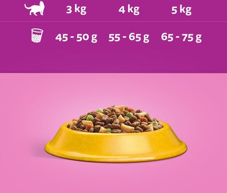 Whiskas Adult Sucha Pełnoporcjowa Dla Dorosłych Kotów Z Kurczakiem 300G - zdjęcie 3